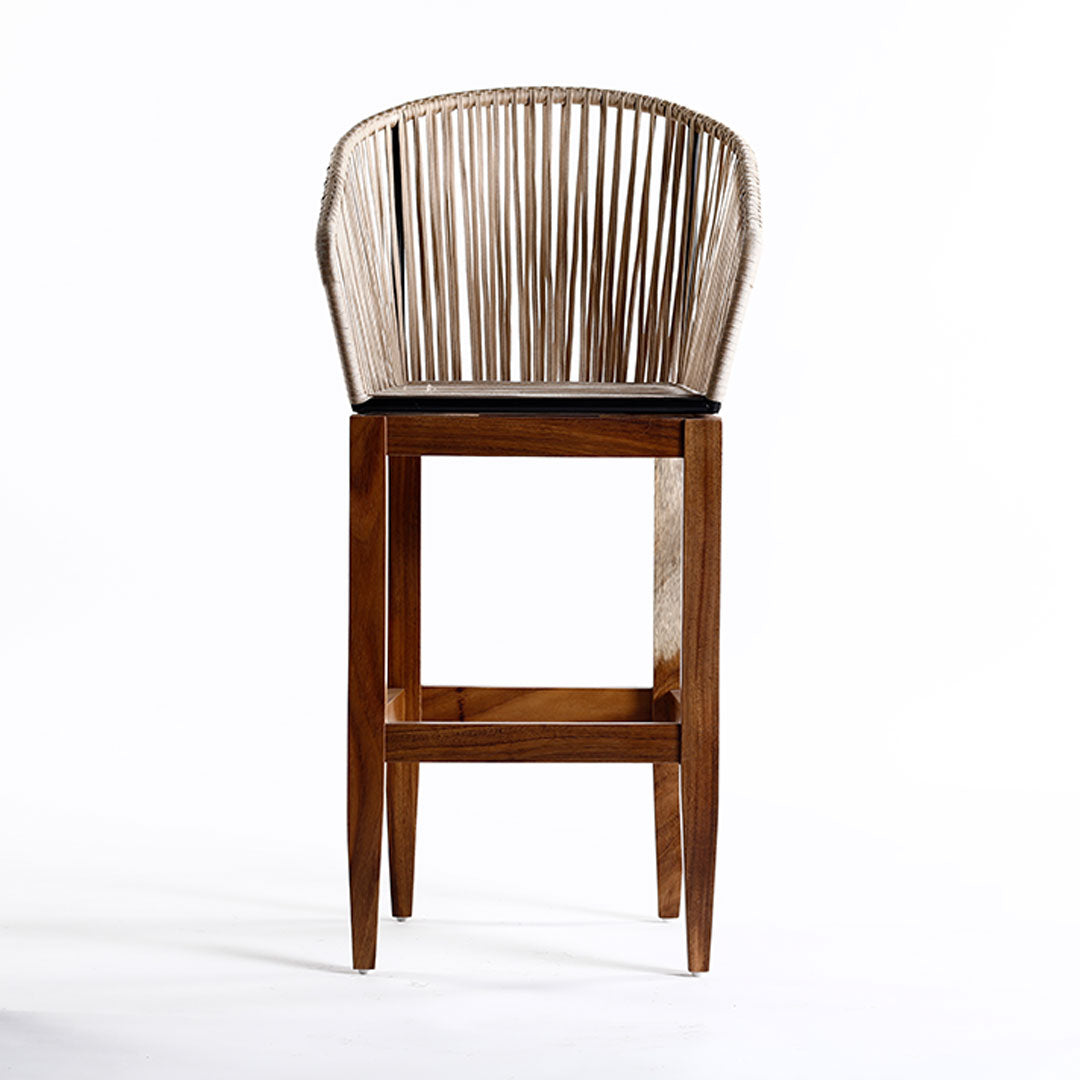 Bristol Stool