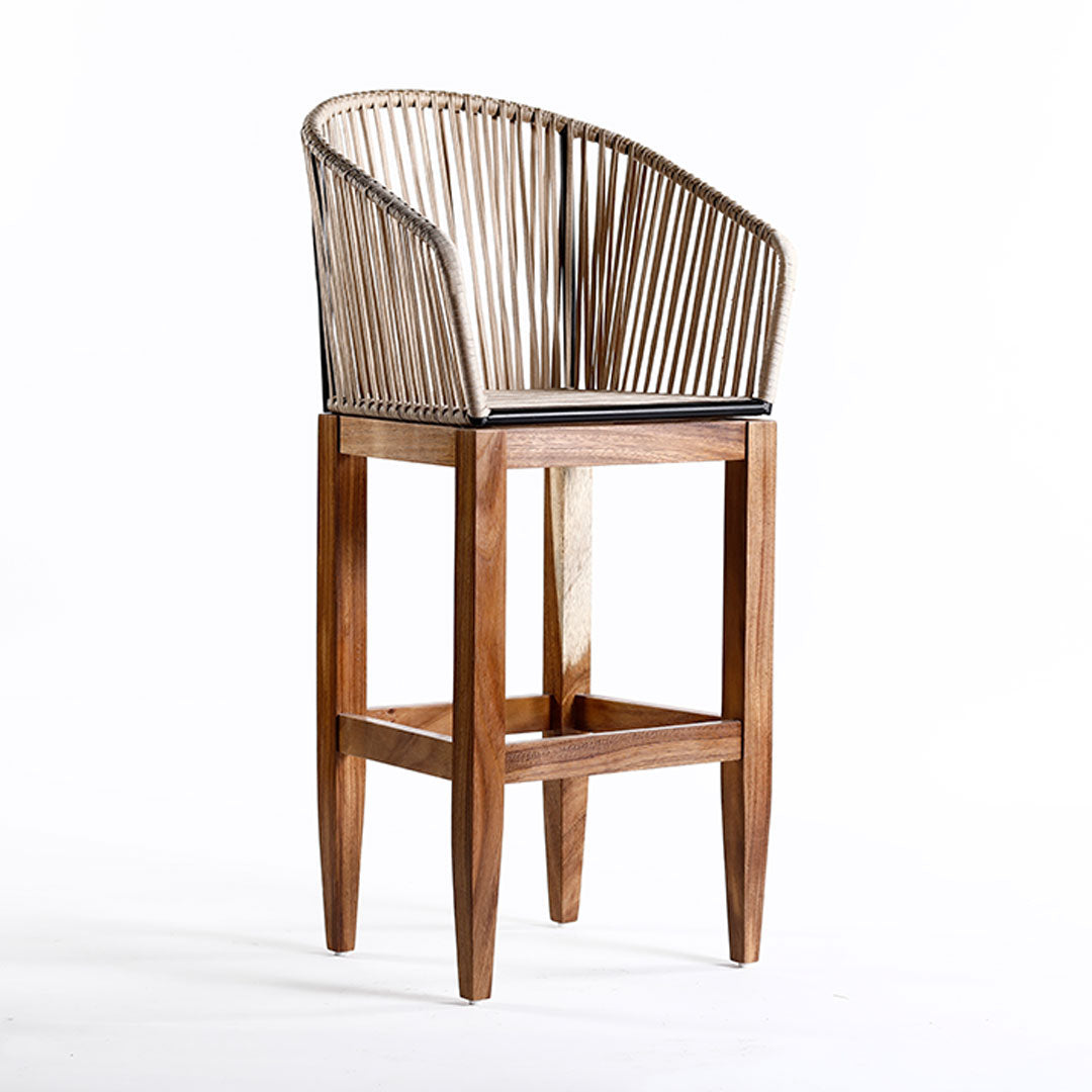 Bristol Stool