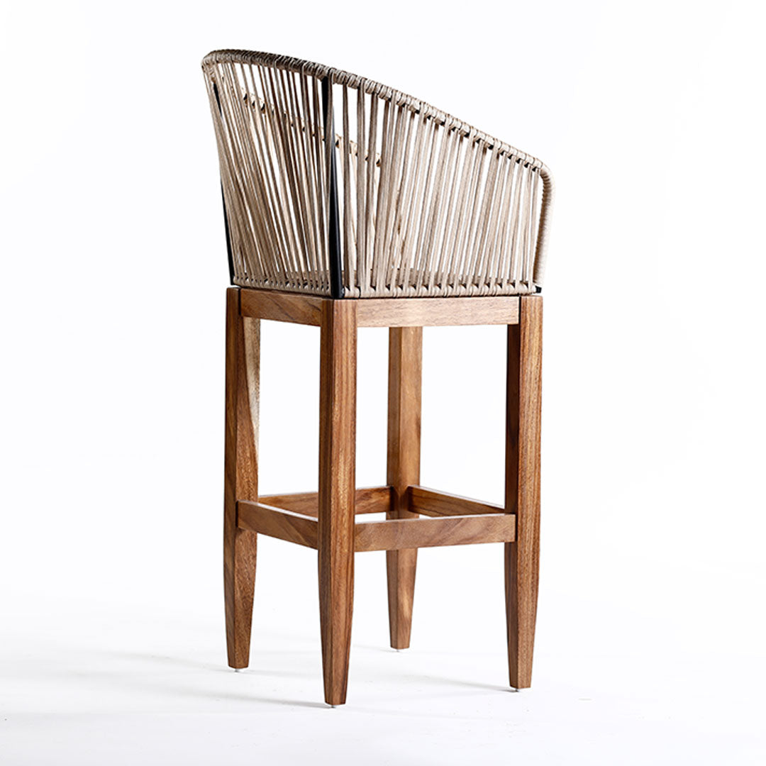 Bristol Stool