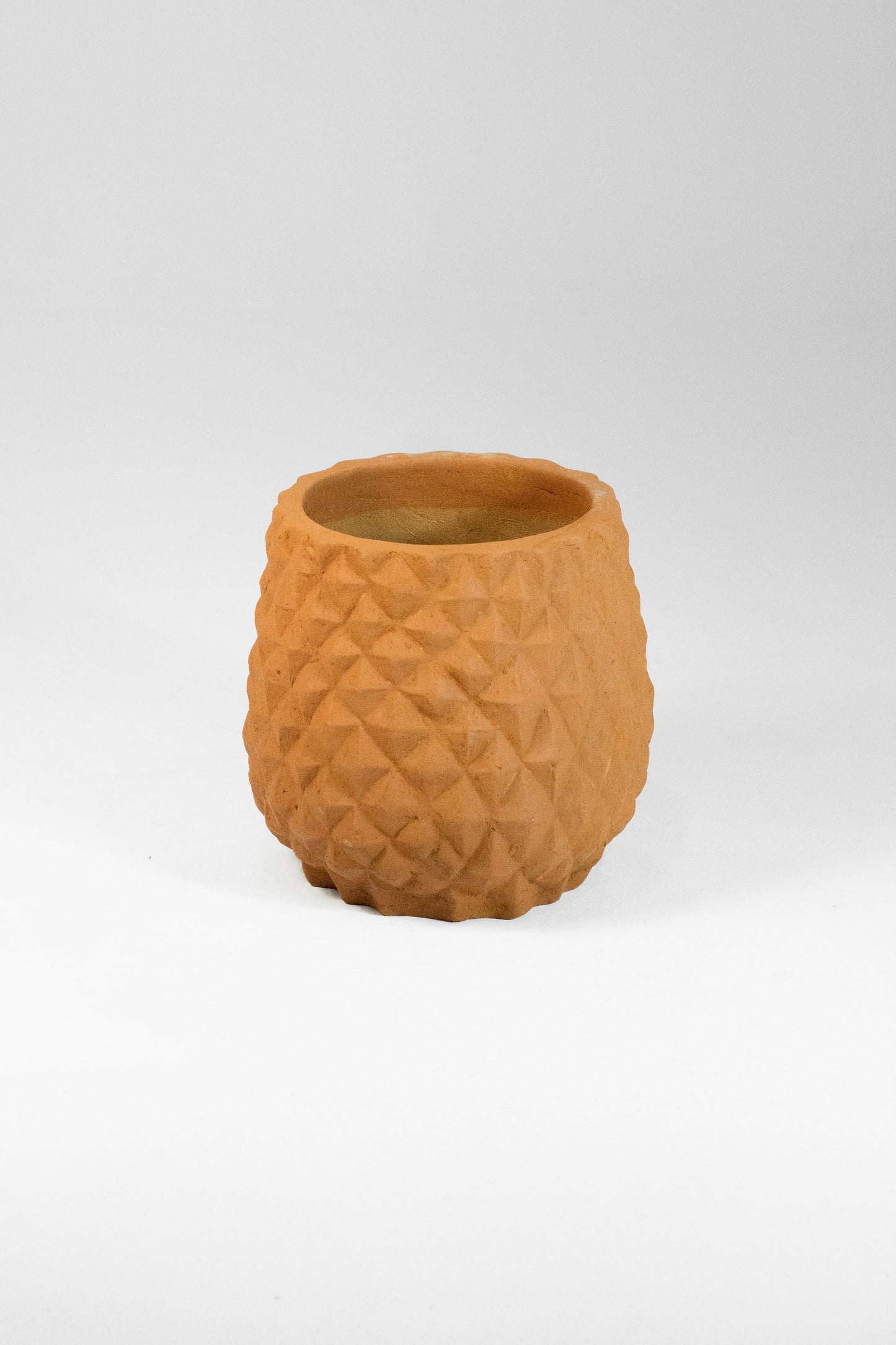 Pineapple Terracotta Pot