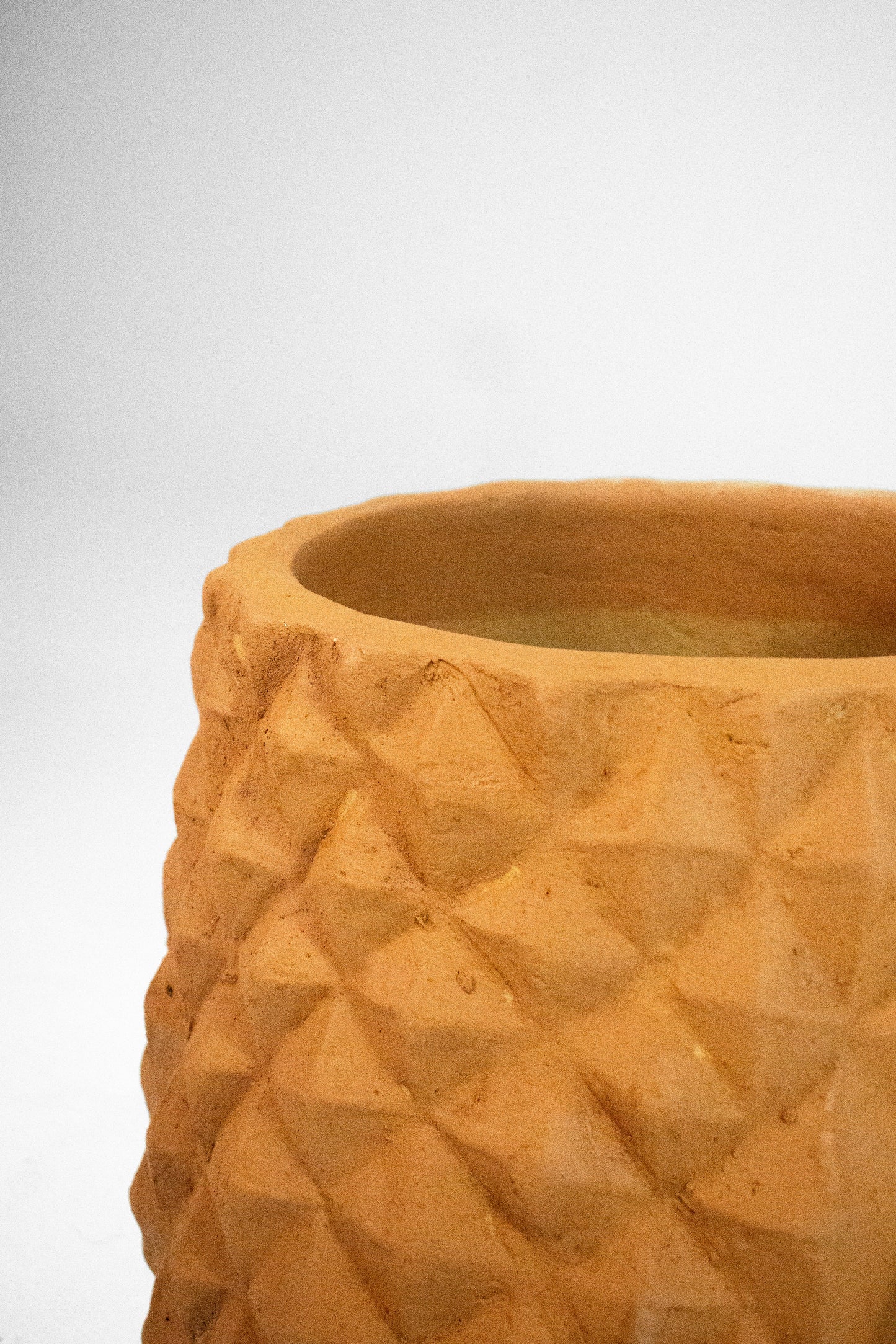 Pineapple Terracotta Pot