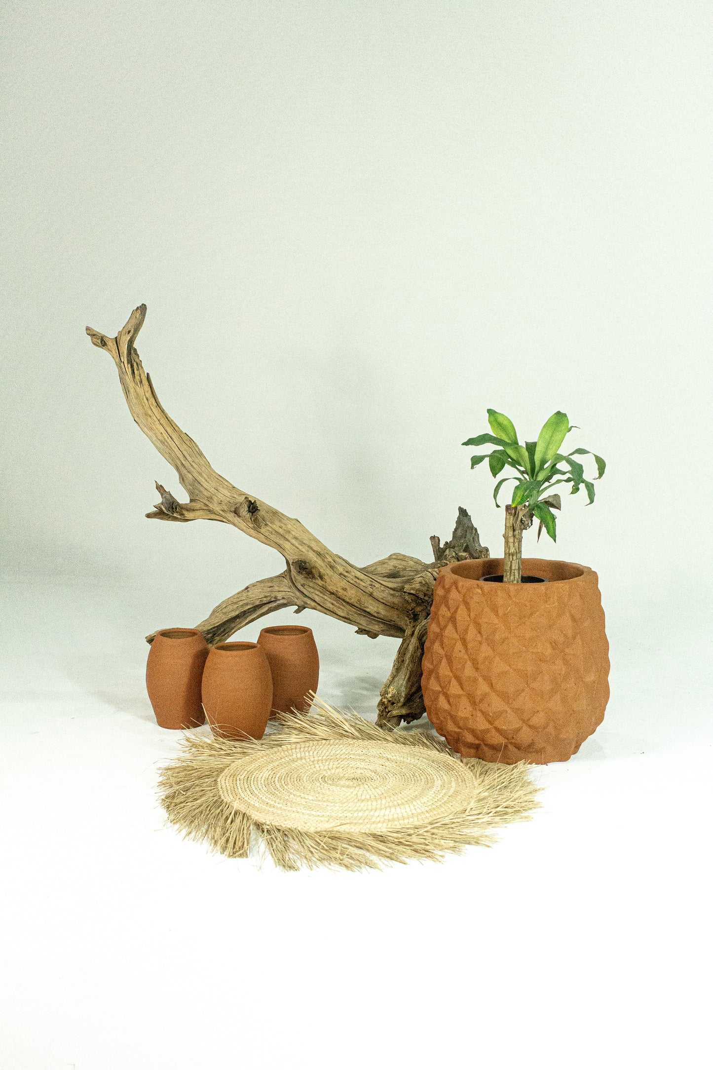 Pineapple Terracotta Pot