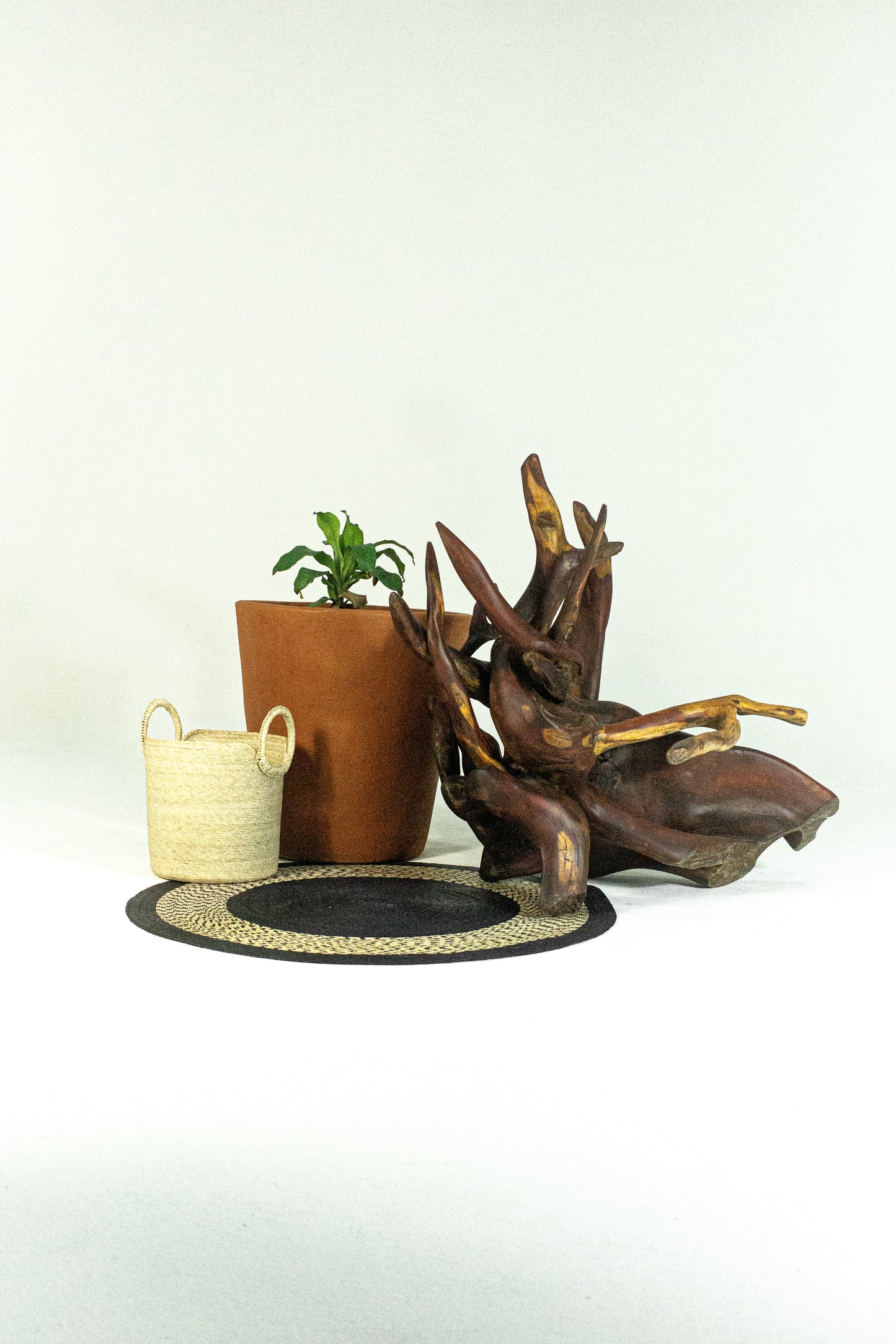 Juno Terracotta Pot
