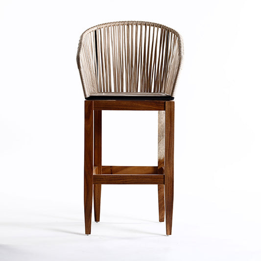 Bristol Stool