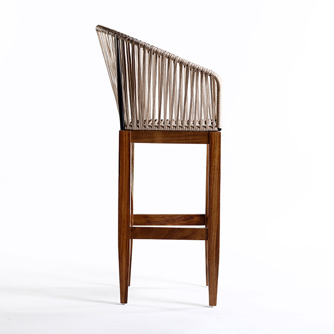 Bristol Stool