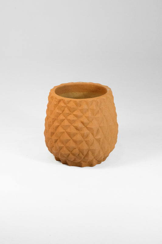 Pineapple Terracotta Pot